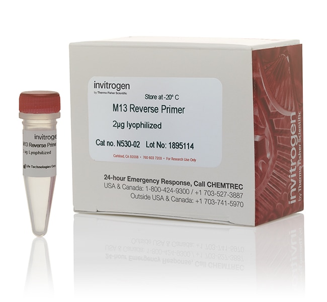 2UG PRIM,M13 REVERSE Oligonucleotides co