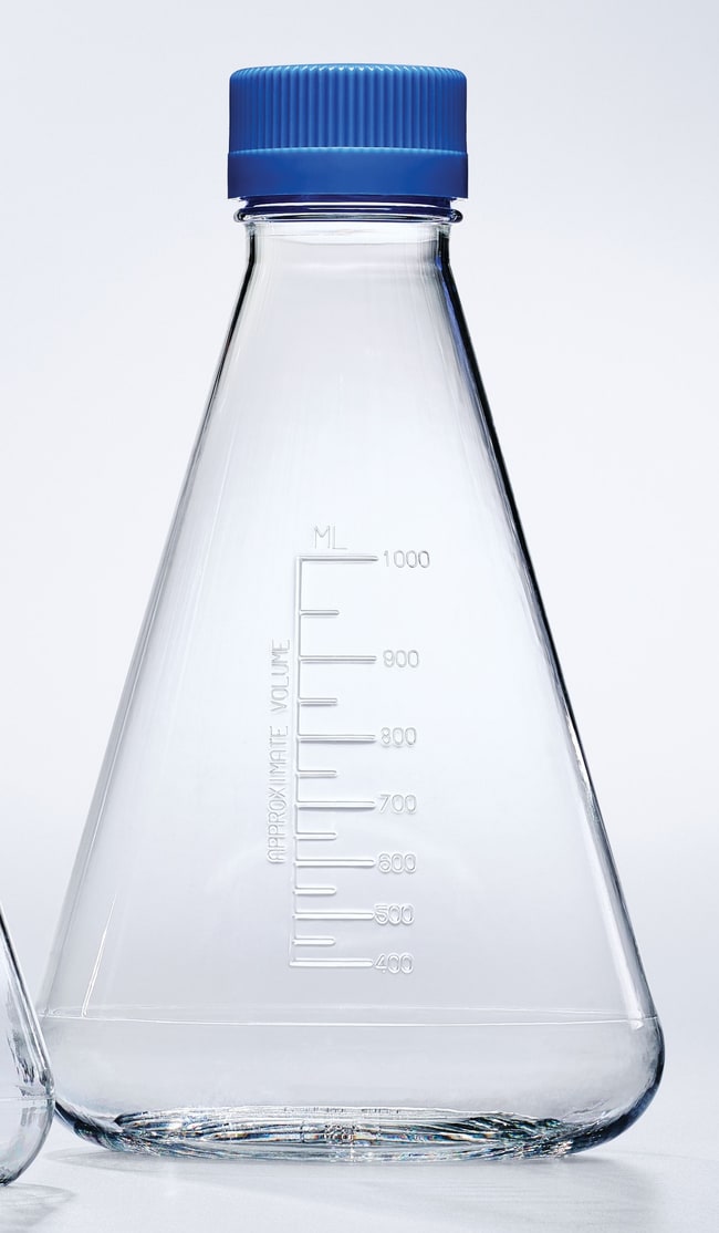 Thermo Scientific Nalgene Einweg-Erlenme