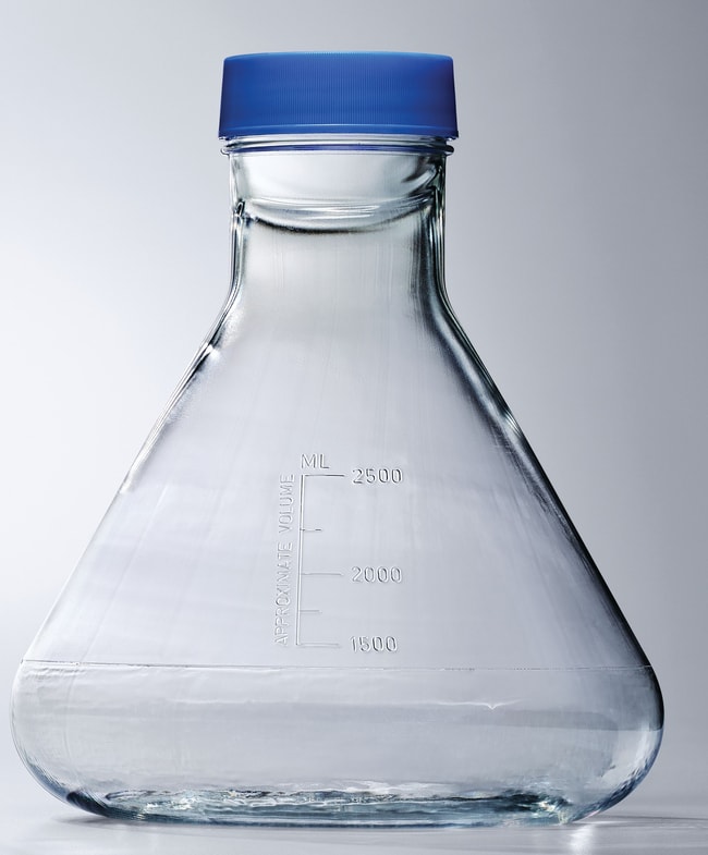 Thermo Scientific Nalgene Einweg-Erlenme