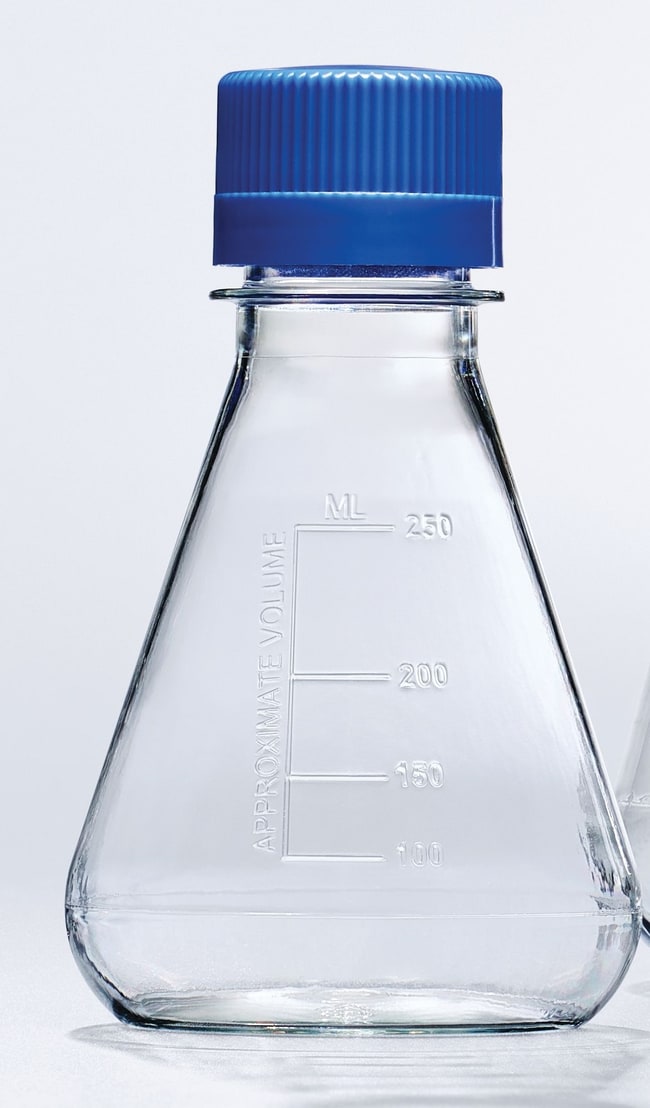 Thermo Scientific Nalgene Einweg-Erlenme