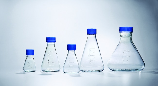 Thermo Scientific Nalgene Einweg-Erlenme