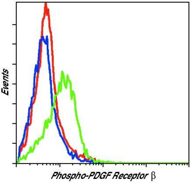 Antibody Phospho-PDGF Receptor beta (Tyr