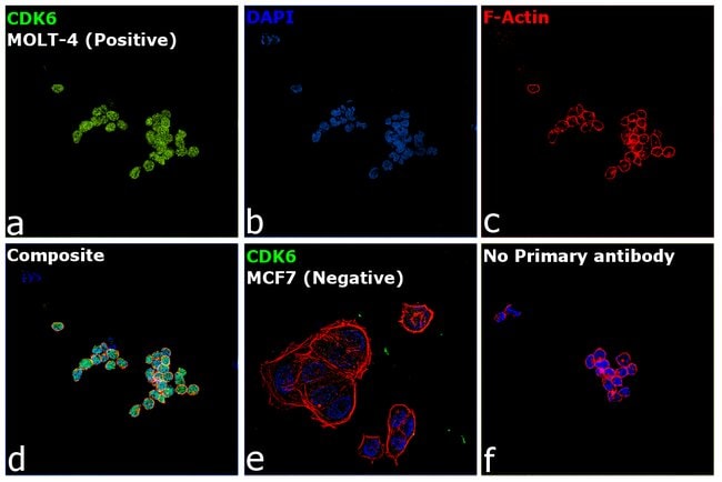 Anti-CDK6