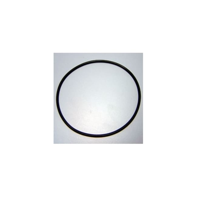 RETSCH Ersatz-O-Ring 98 x 3 Viton