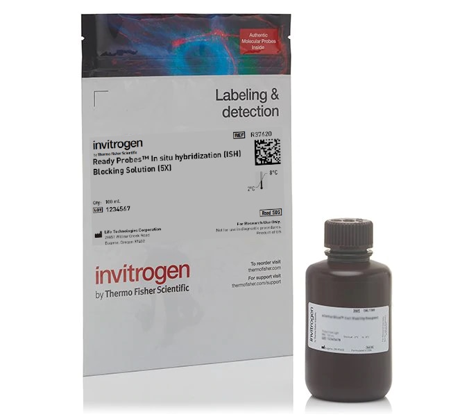 100ML READY PROBES ISH BLOCKING 100 ML