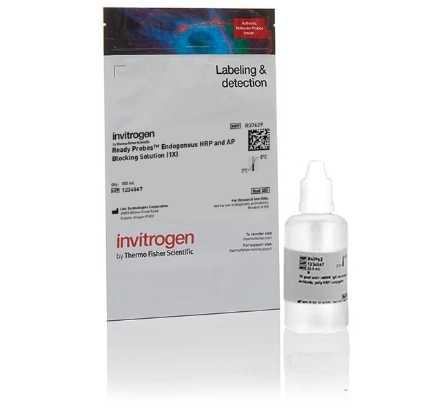 100ML READY PROBES ENDO HRP-AP BLOCK 100