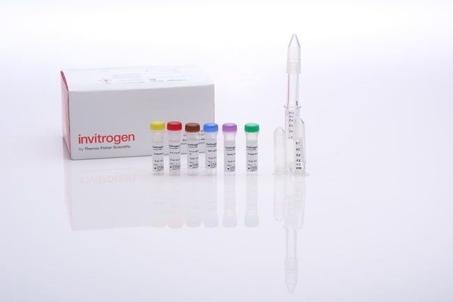 1 KIT SiteClick Antibody Azido Modificat