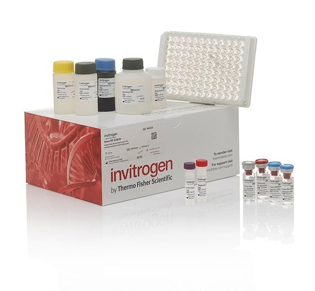 1 SET HUMAN FGF-21 ELISA 96 TESTS