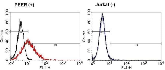 ANTI-HUMAN PAN TCRG/D  MAB 200µG