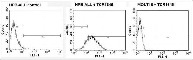 ANTI-HUMAN VB5(B)MAB 200µG