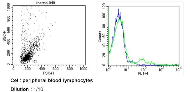 Anti-Human Vb8 (b), FITC MAb, 200 Tests