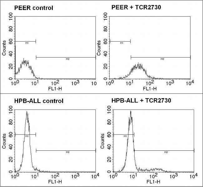 Anti-Human Vd1 , FITC MAb, 200 Tests 200