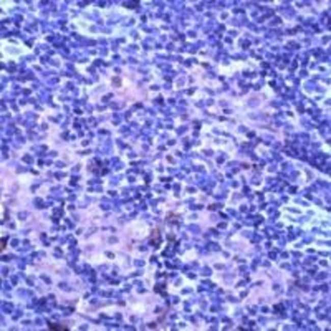 500uL Polyclonal antibody, TNF-R2, host