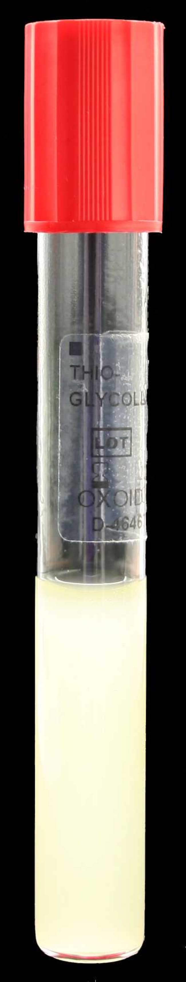 Thioglycolat-Medium USP, Bezeichnung: Th