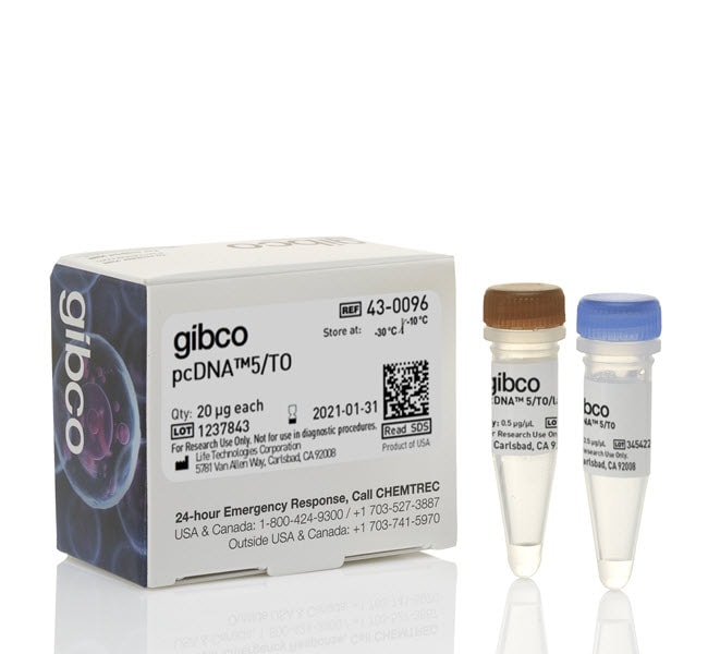 20UG PCDNA5/TO pcDNA5/TO is a 5.7 kb exp