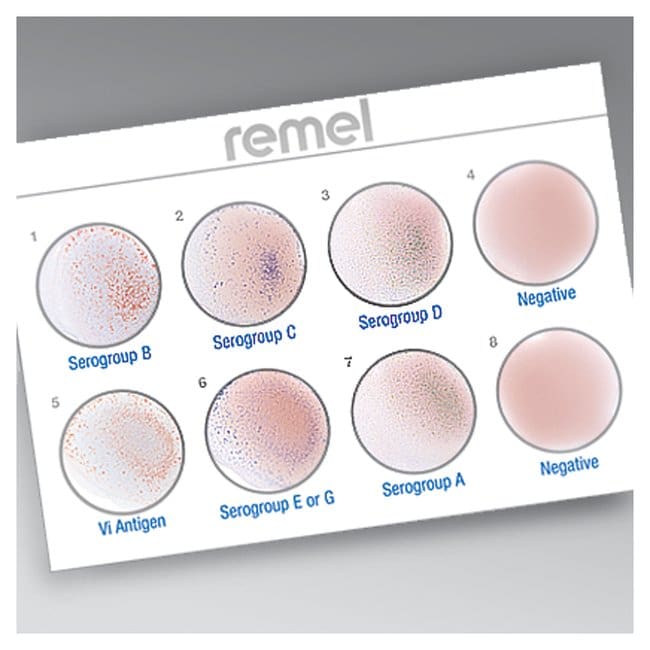 Wellcolex(R) colour shigella sufficient