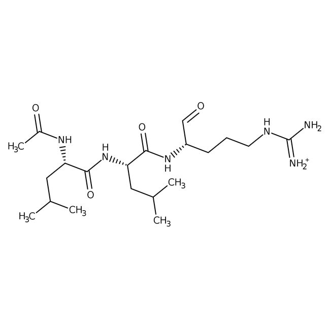 100MG Leupeptin hemisulfate .