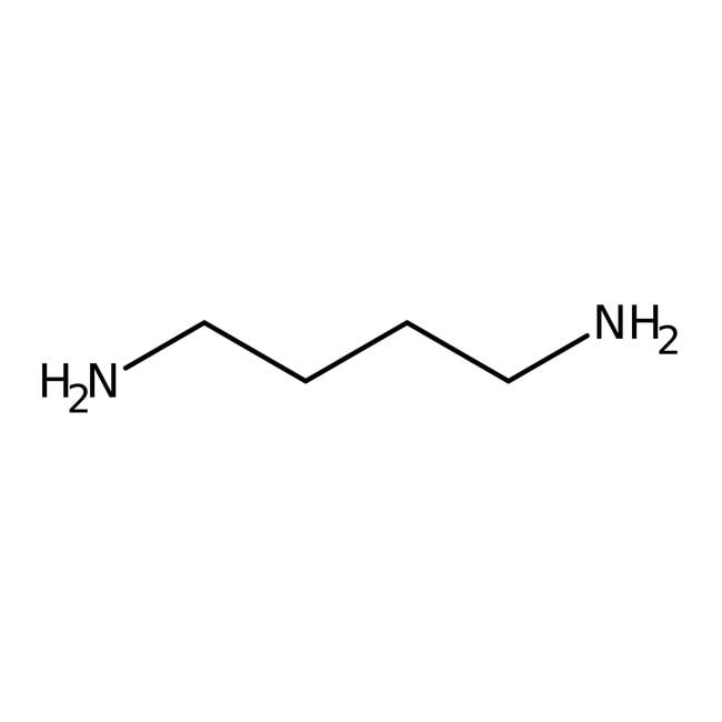 1,4-Diaminobutane, >-98%, C4H12N2, CAS N