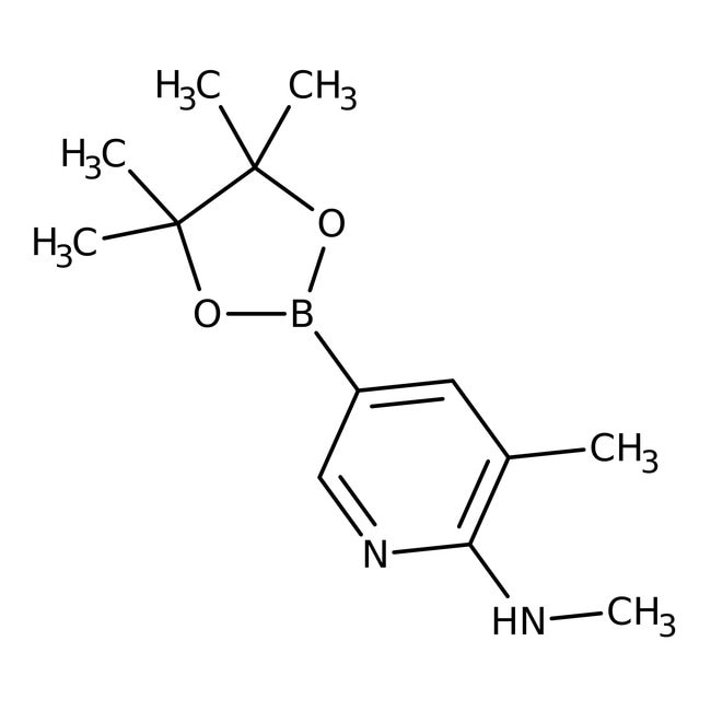 2-Methylamino-3-methylpyridine-5-boronic