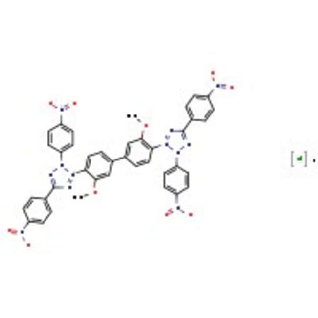 Tetranitro blue tetrazolium chloride, 97