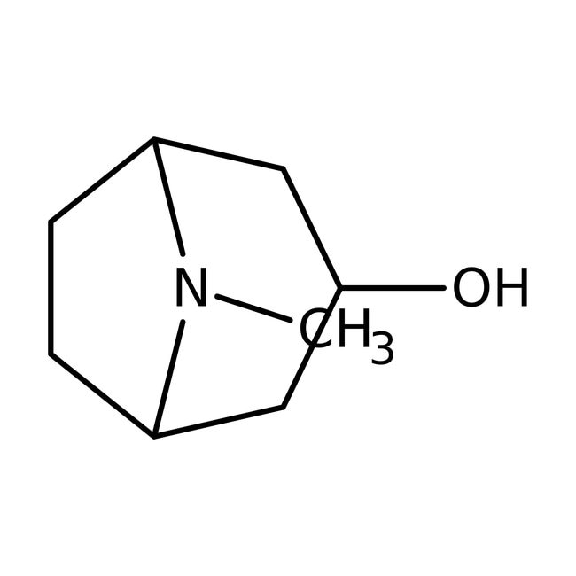Tropin, 98 %, Thermo Scientific Chemical