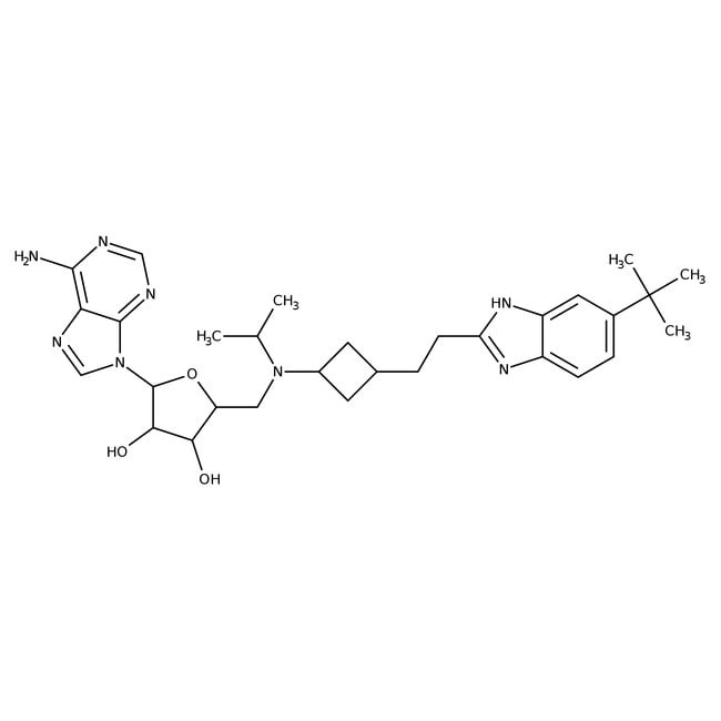 100MG Pinometostat, 95%