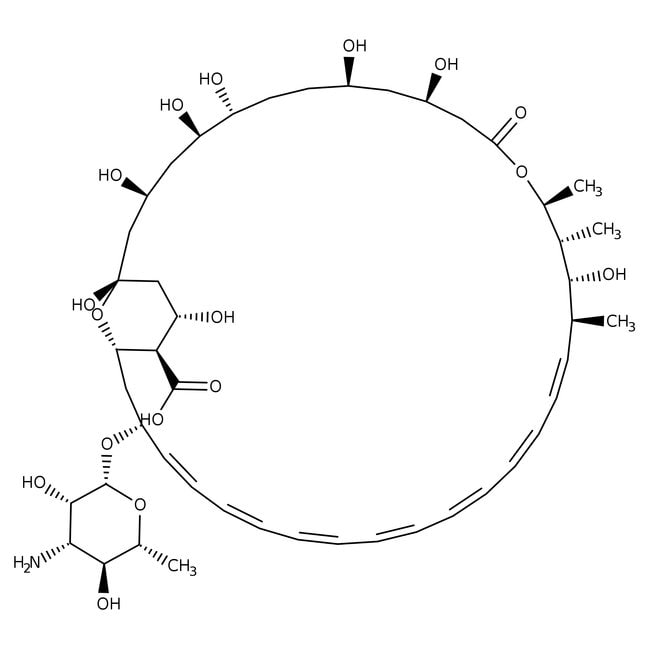 Amphotericin B, C47H73NO17, CAS Number-1