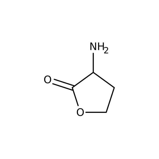(S)-(-)-a-Amino-?-Butyrolacton-Hydrobrom