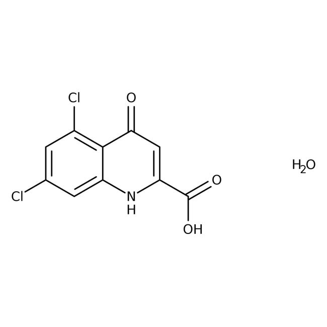 5,7-Dichlorkynurensäure Monohydrat, Ther