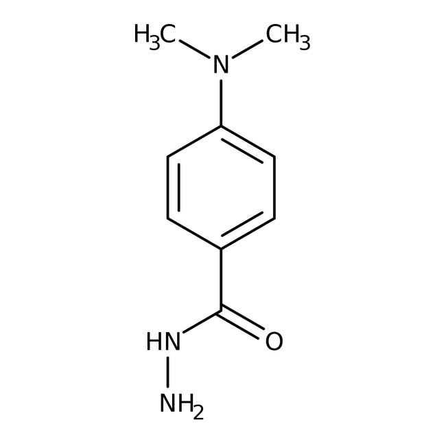 4-Dimethylaminobenzhydrazid, 98+%, Therm