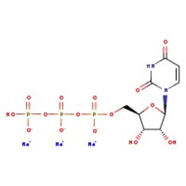 Uridin-5'-Triphosphat-Trjodiumsalz, 98+%