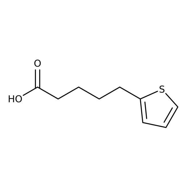 5-(2-Thienyl)pentanoic acid, 95%, C9H12O