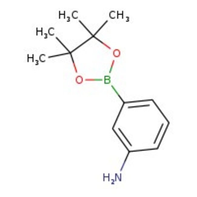 3-Aminobenzeneboronic acid pinacol ester