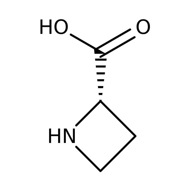 (S)-(-)-Azetidin-2-carbonsa¨ure, = 99 %,