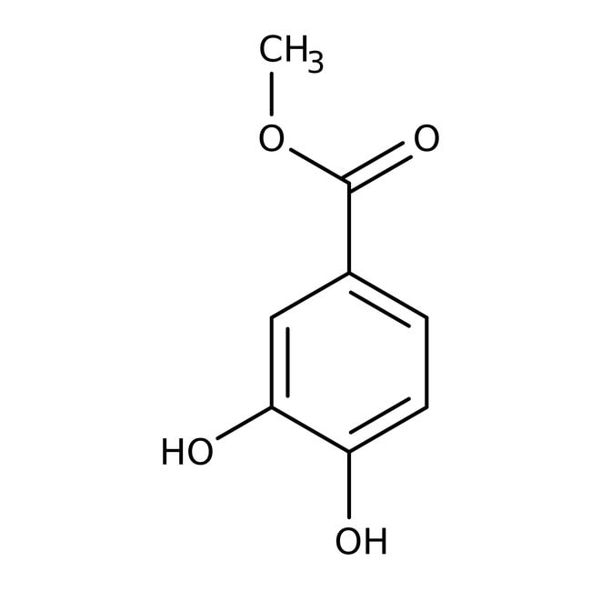 Methyl-3,4-dihydroxybenzoat, 97 %, Therm