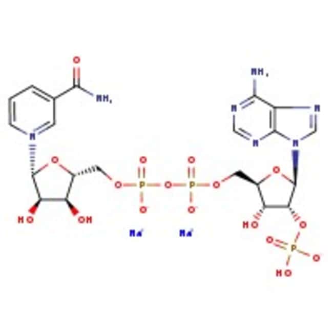 Beta-Nicotinamid-Adenin-Dinucleotid-Phos