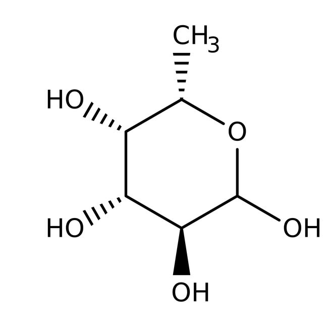 L-(-)-Fucose, 99%, C6H12O5, CAS Number-2