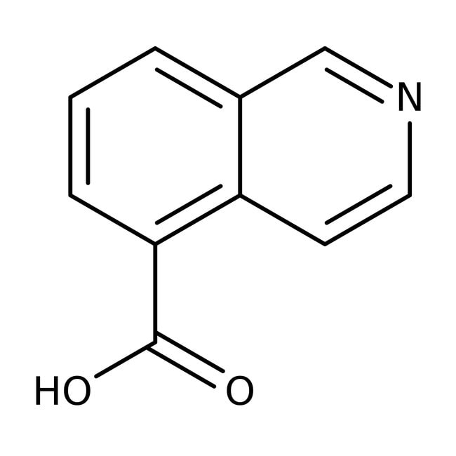Isochinolin-5-carboxylsäure, 96 %, Therm