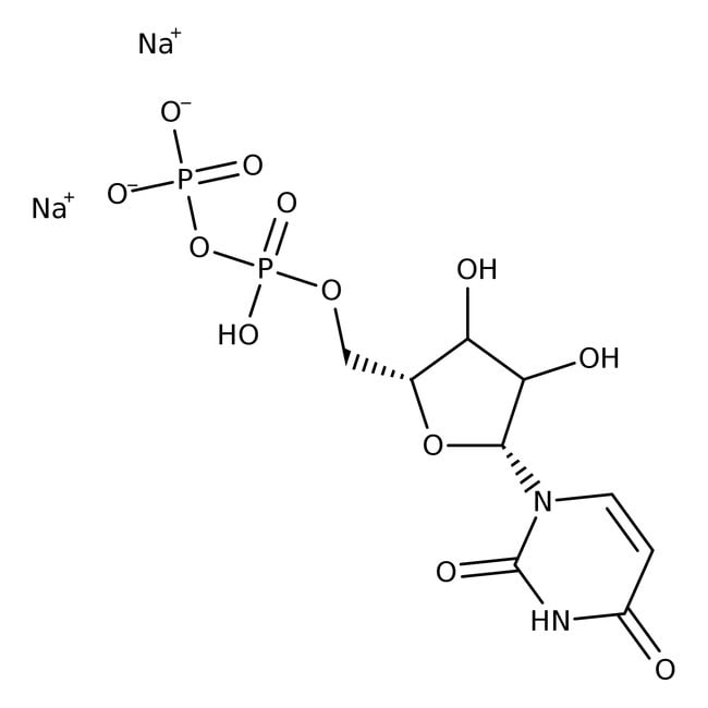 Uridin-5'-diphosphat-Dinatriumsalz, 98 %