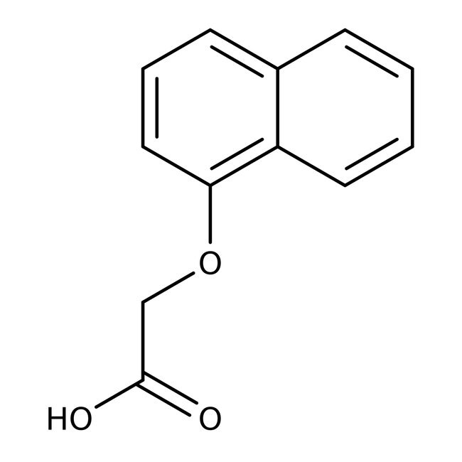 1-Naphthoxyessigsäure, 98+ %, Thermo Sci