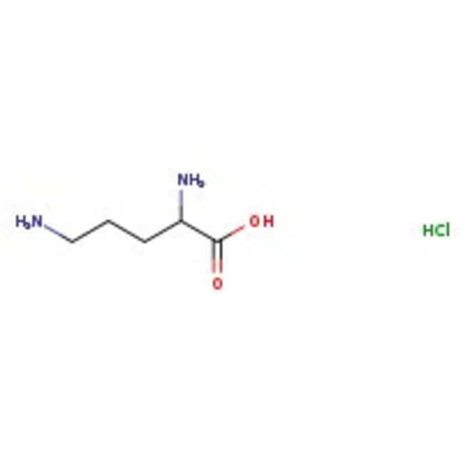 L-Ornithin Hydrochlorid, 99 %, Thermo Sc