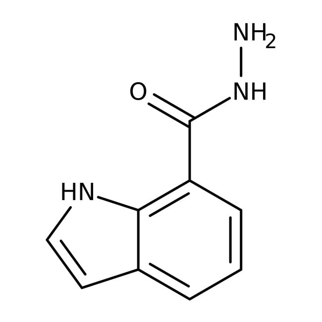 1H-Indol-7-carbohydrazid, 97 %, Thermo S