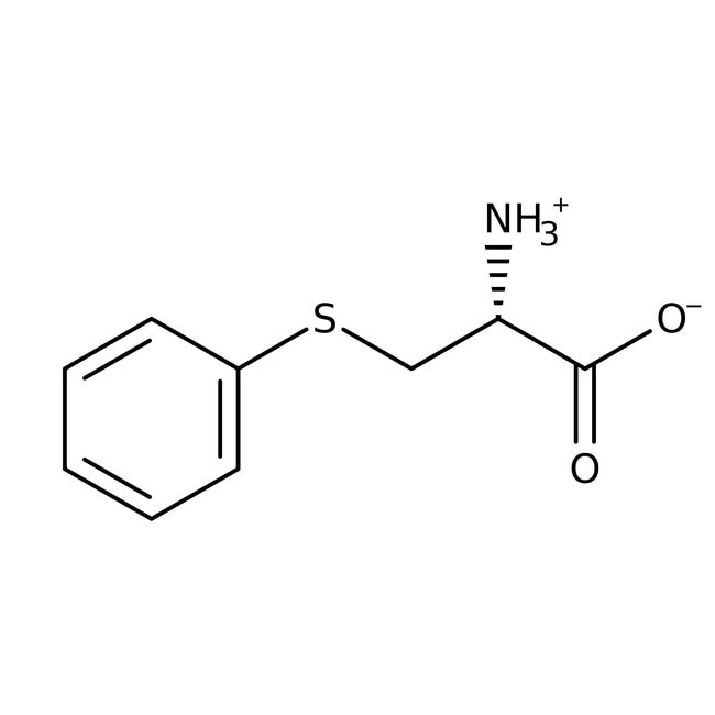 S-Phenyl-L-Cystein, 97 %, Thermo Scienti
