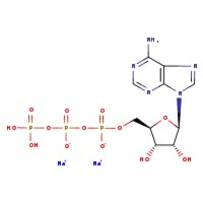Adenosin-5'-Triphosphat-Dinatriumsalsalz