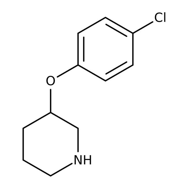 3-(4-Chlorophenoxy)piperidine, 97%, C11H