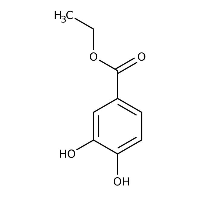 Ethyl-3,4-Dihydroxybenzoat, 98 %, Thermo