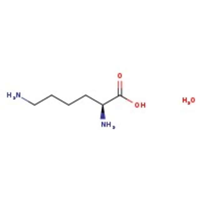 L-Lysin-Monohydrat, 97 %, Thermo Scienti