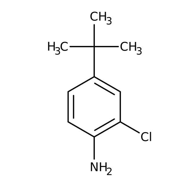 4-(tert-Butyl)-2-chloroaniline, 95%, C10