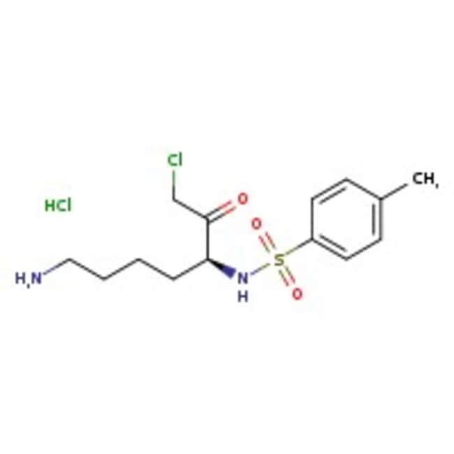 Nalpha-(p-Toluenesulfonyl)-DL-lysine chl