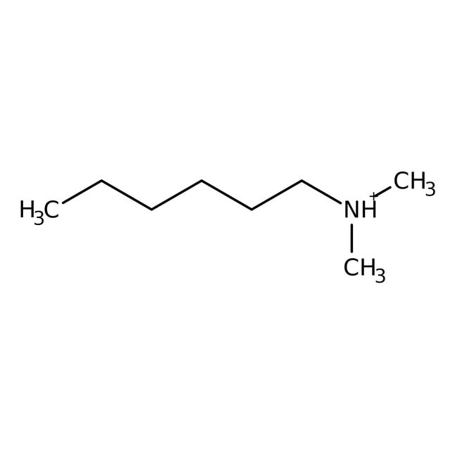 N,N-Dimethylhexylamine, 99%, C8H19N, CAS